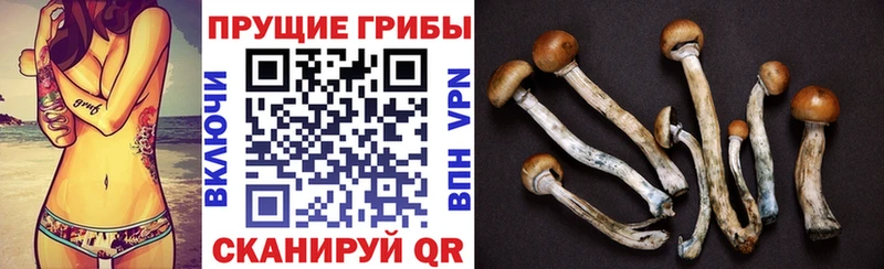 Галлюциногенные грибы мухоморы Краснослободск